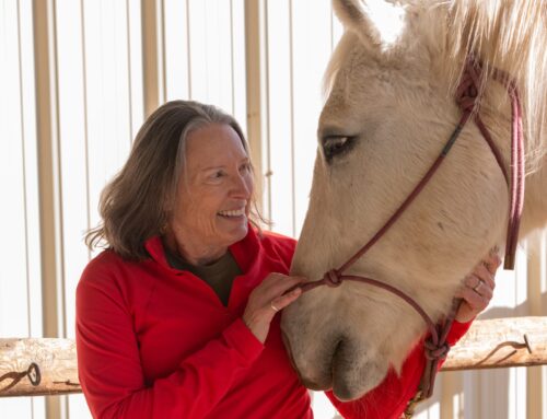 November 2025 – Debi Krayna