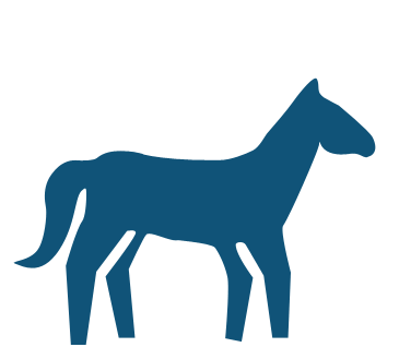 Horse Icon