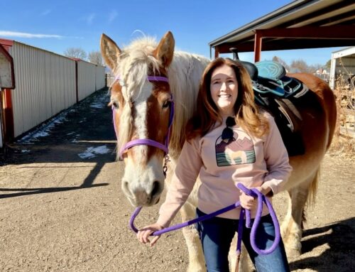 December 2025 – Mary Fellows