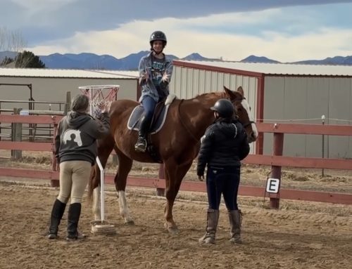How We Select and Train Therapy Horses at CTRC
