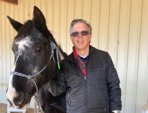 December 2024 – Teo Topcubasi