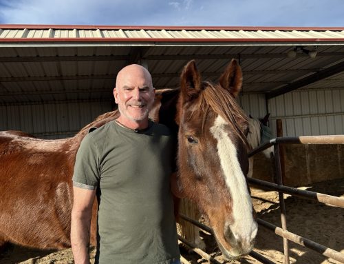 January 2026 – Dan Davidson