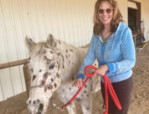 January 2025 – Yvonne Smith