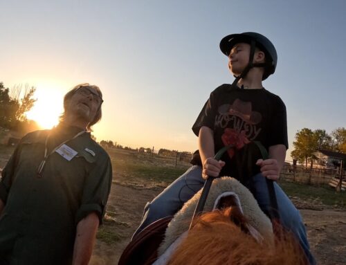 Hope from horses: The return of the Colorado Therapeutic Riding Center horse show