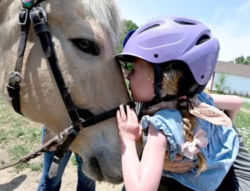 ‘A dream come true:’ Colorado Therapeutic Riding Center grants wishes for disabled twins